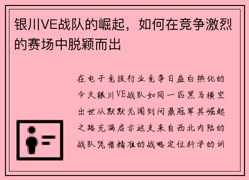 银川VE战队的崛起，如何在竞争激烈的赛场中脱颖而出
